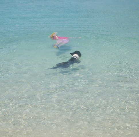 Daisy snorkling with Val